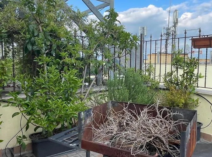 Loft San Lorenzo Apartment *